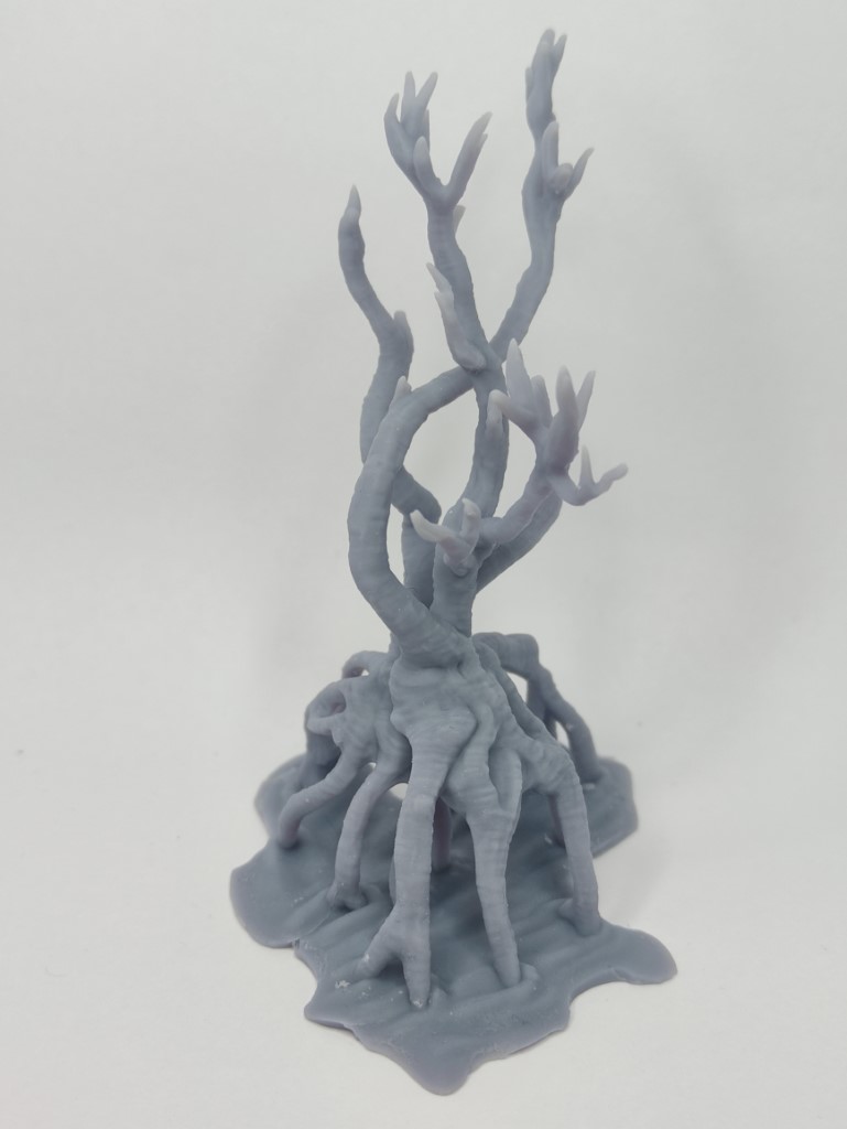 Arbre de Mangrove - Tabletop – Image 4