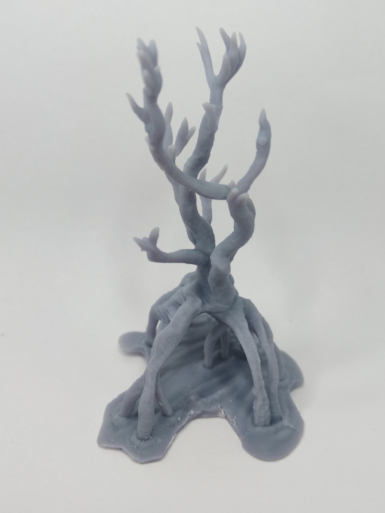 Arbre de Mangrove - Tabletop – Image 2