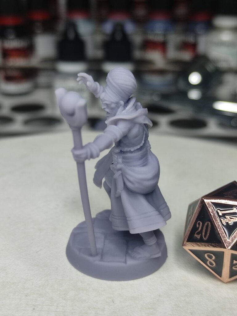 Humain Sorcier Vaudou - Tabletop – Image 2