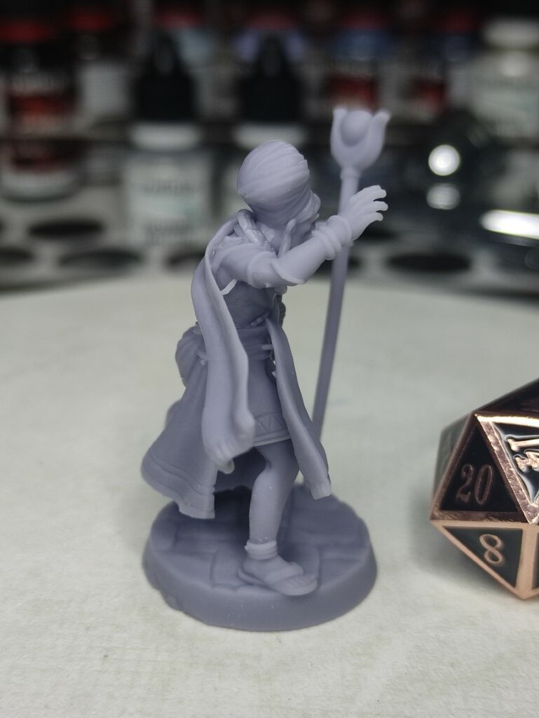 Humain Sorcier Vaudou - Tabletop – Image 3