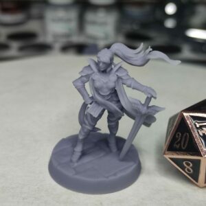 Naine Paladin/Guerrier