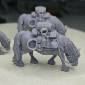 Poney chargé - Tabletop