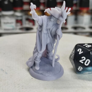 Humain magicien Radagast - Tabletop