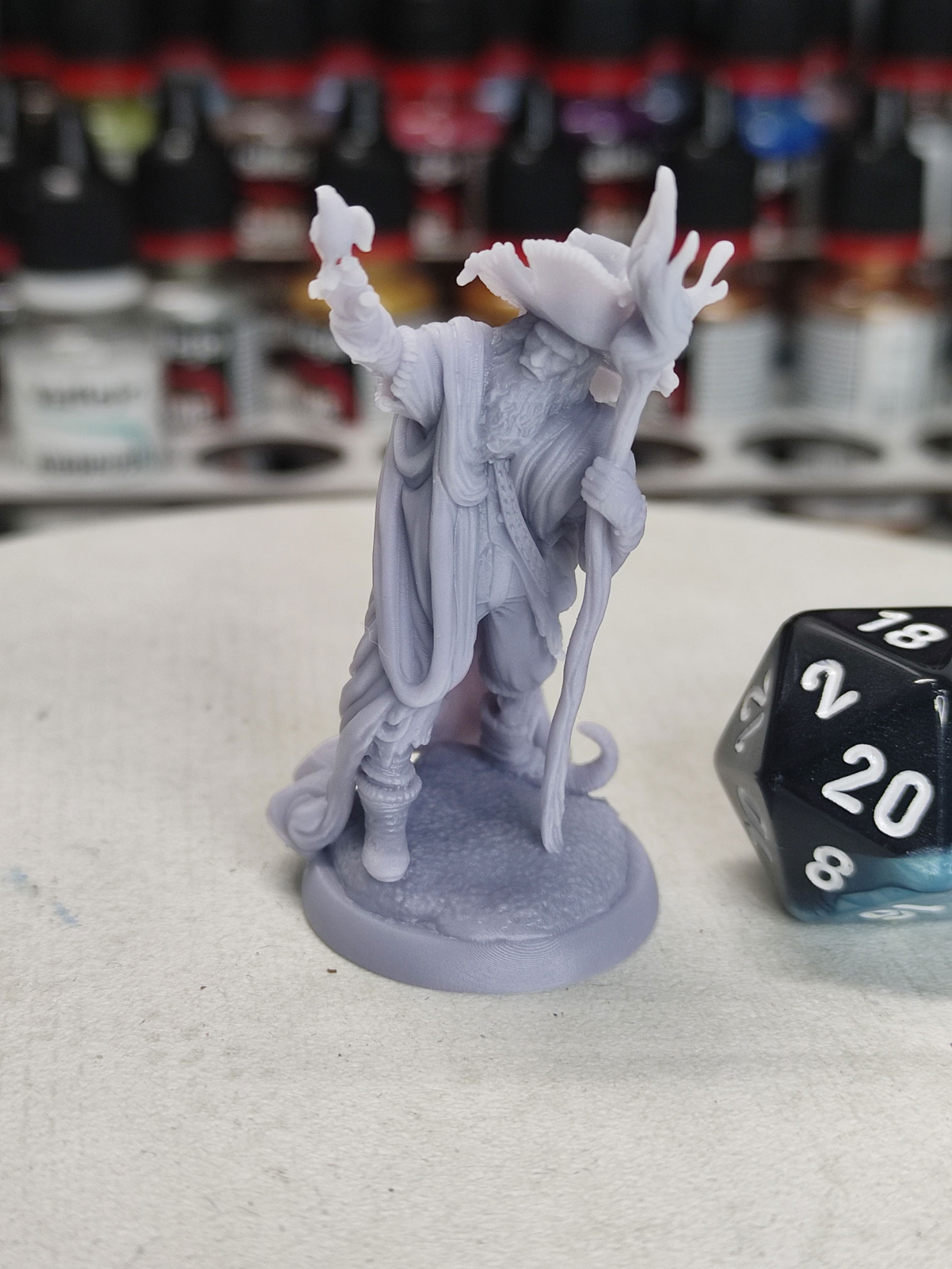 Humain magicien Radagast - Tabletop