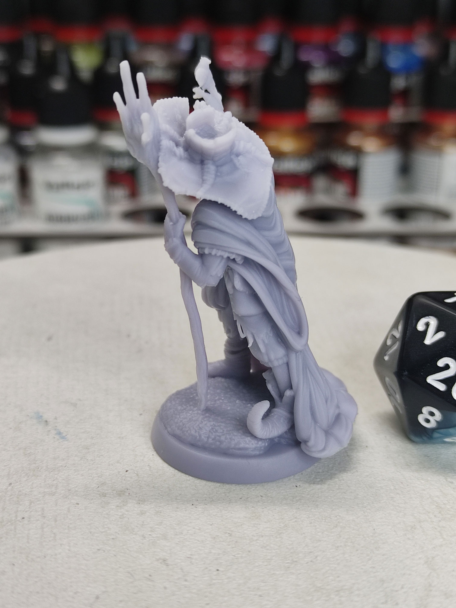 Humain magicien Radagast - Tabletop – Image 4