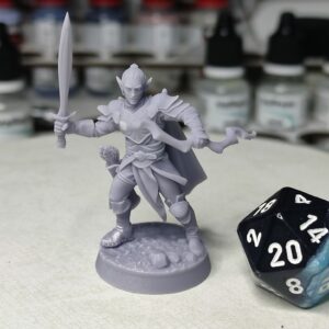 Elfe Rodeur - Tabletop