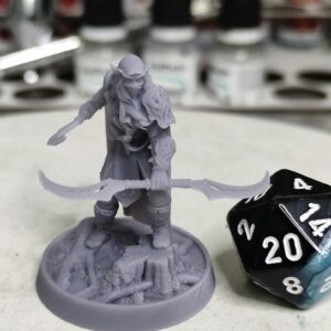 Elfe assassin - Tabletop
