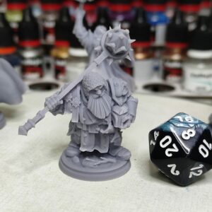 Nain Paladin Vétéran- Tabletop