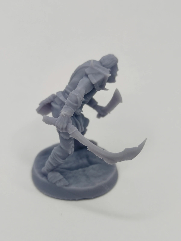 Orc Voleur 2 épées - Tabletop – Image 4