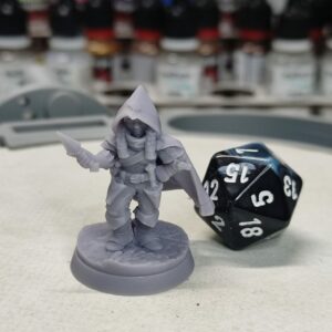 Gnome voleuse - Tabletop