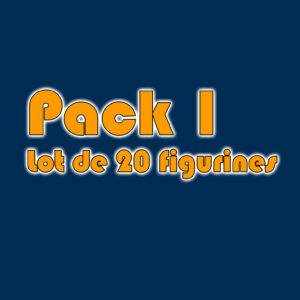 Pack 1 de Figurines JDR