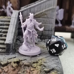 Elfe Magicien - Tabletop