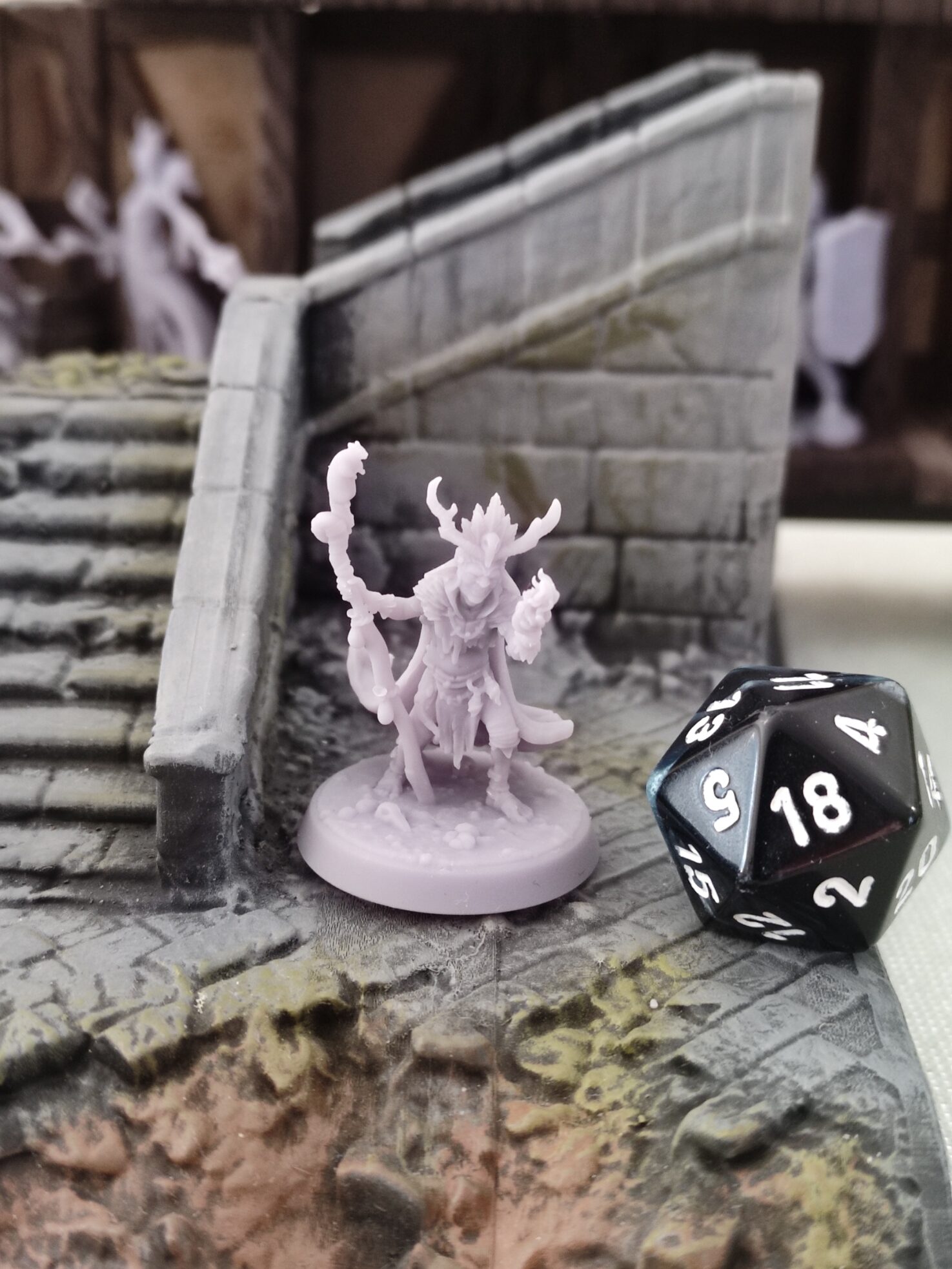 Gobelin chaman - Tabletop