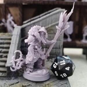 Humain Druide - Tabletop