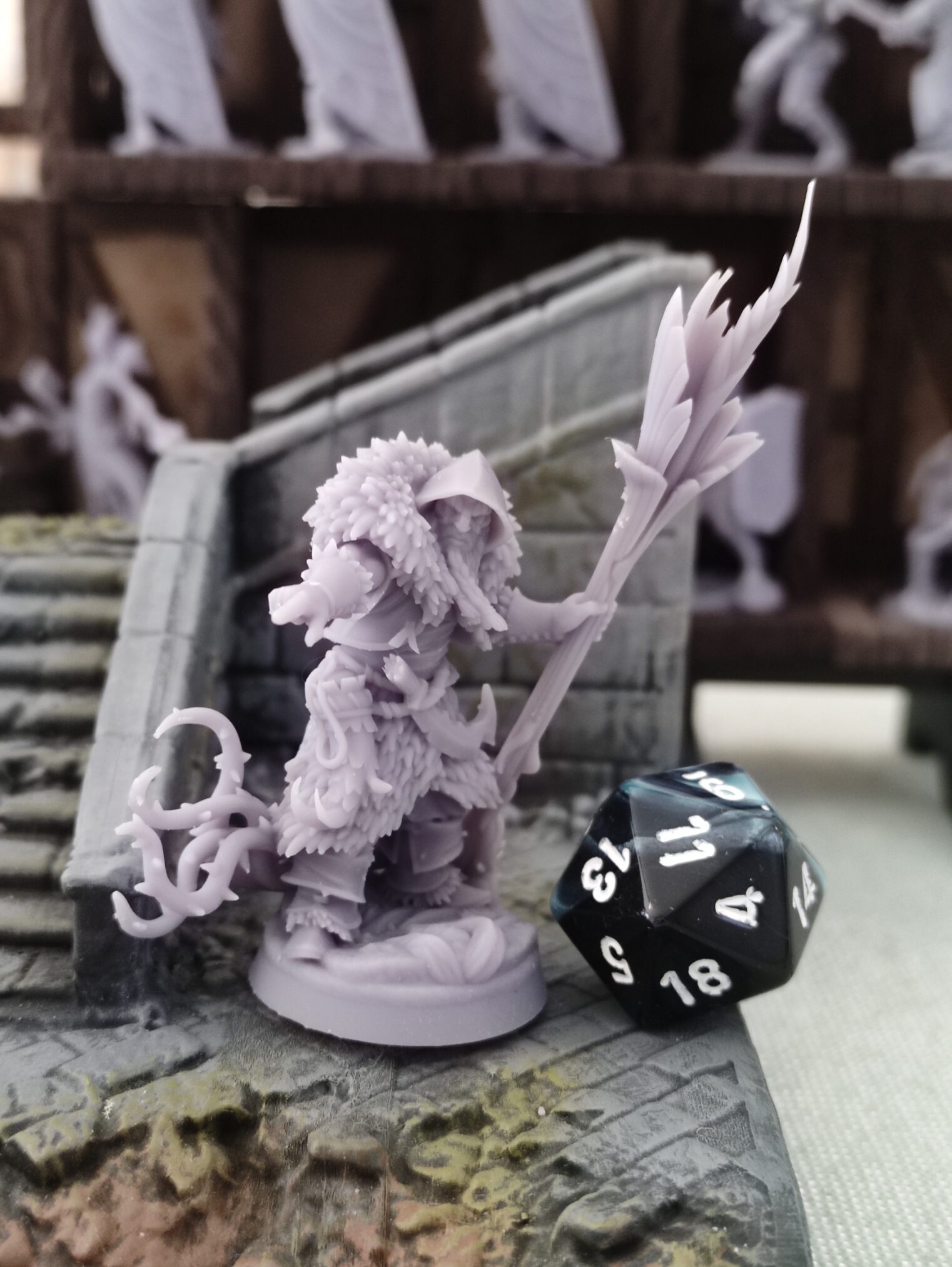 Humain Druide - Tabletop